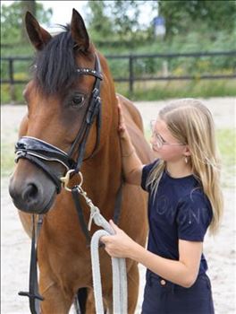 Very sweet pony for a confident rider